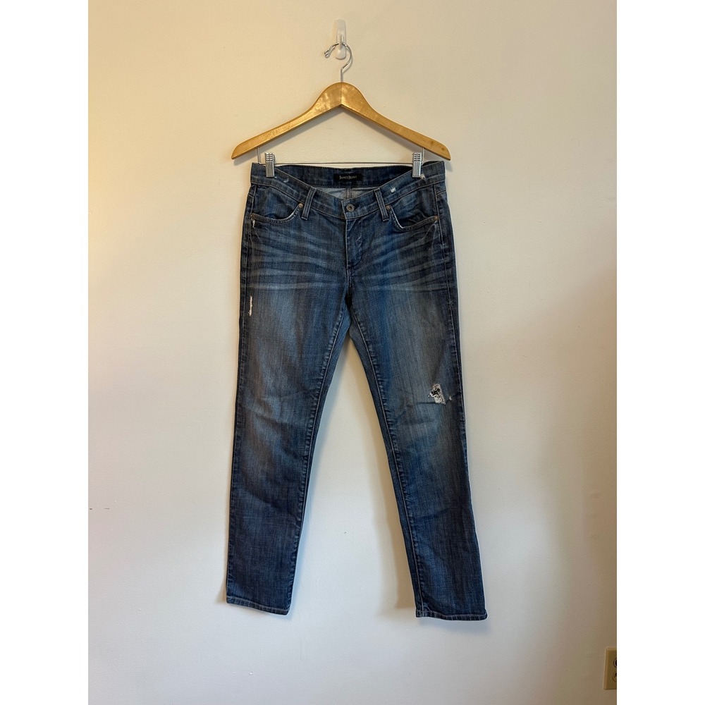 James Jeans Dry Aged Denim Straight Leg Jeans | Size 29